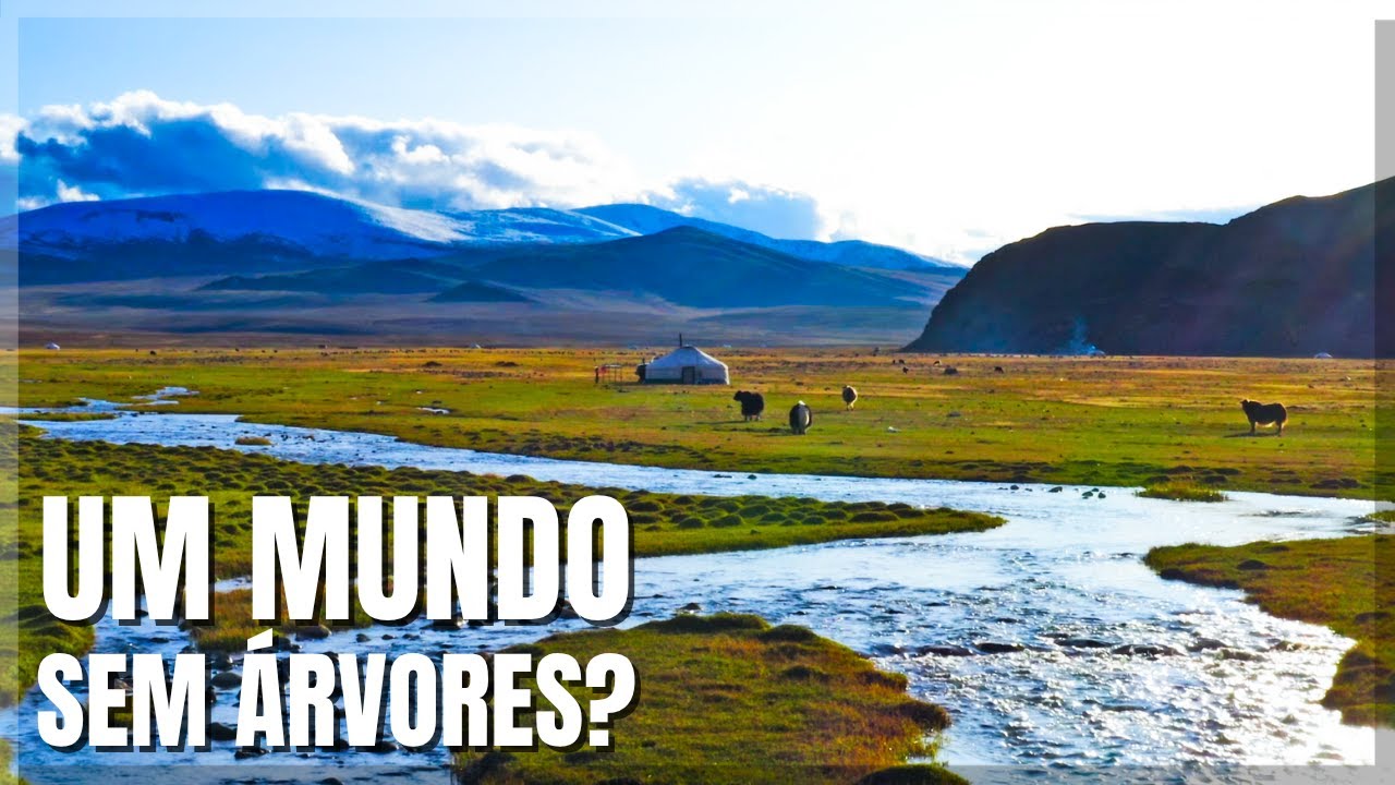 Mongólia: A Vida Isolada dos Últimos Nômades da Ásia
