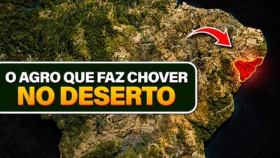 O MENOR ESTADO DO BRASIL VIROU UM GIGANTE DO AGRO