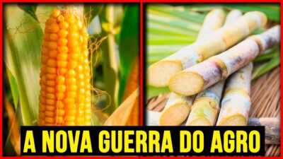 VEJA como o Milho SUPEROU a Cana de Açucar na Produção do ETANOL (Isso MUDA TUDO…)