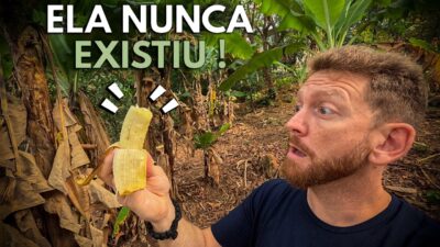 Ela NÃO Existe na Natureza –  A Incrível História da Banana!