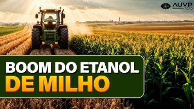 Etanol de milho é mesmo “limpo”? O que ninguém fala sobre área, água e rastreabilidade